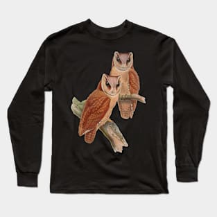Graphic Brown Owls Long Sleeve T-Shirt